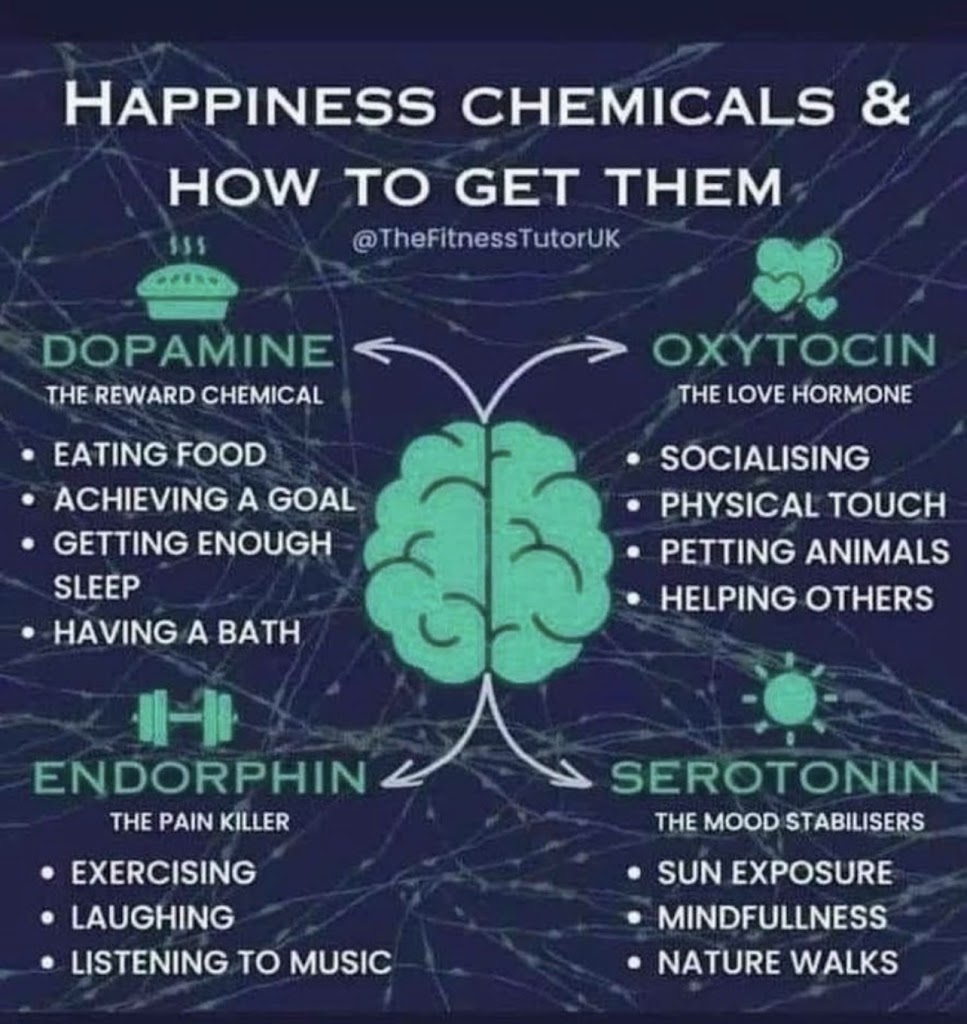 Neurotransmitters And Behavior Decoding The Science Behind Our